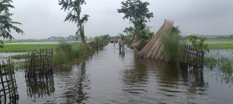 लगातार बारिश से निचले इलाकों में बाढ़ का खतरा